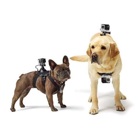 Uprząż dla psa GoPro Fetch