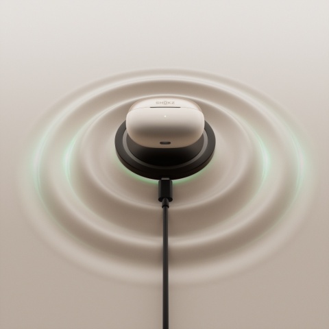 Słuchawki bezprzewodowe Shokz OpenDots ONE (Grey)