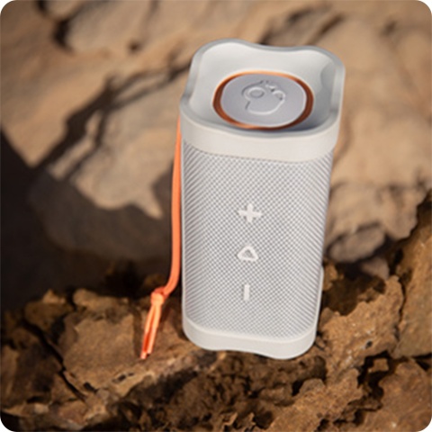 Głośnik bezprzewodowy Skullcandy TERRAIN (BONE/ORANGE)