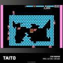 Evercade TAITO Arcade 3 - Zestaw gier