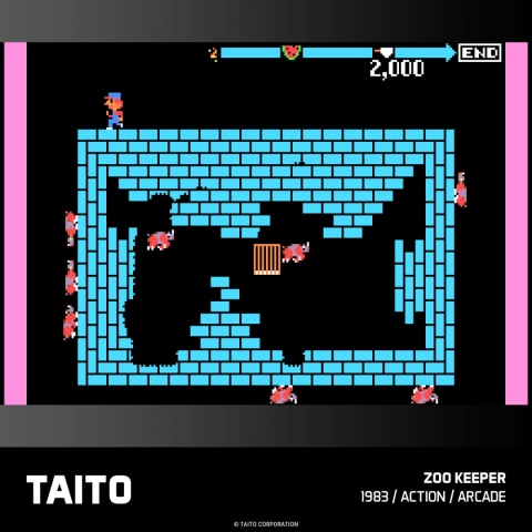 Evercade TAITO Arcade 3 - Zestaw gier