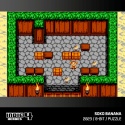 Evercade Indie Heroes Collection 4 - Zestaw gier