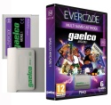 Evercade Gaelco Arcade 1