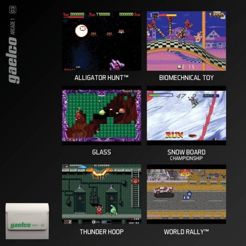 Evercade Gaelco Arcade 1