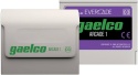 Evercade Gaelco Arcade 1