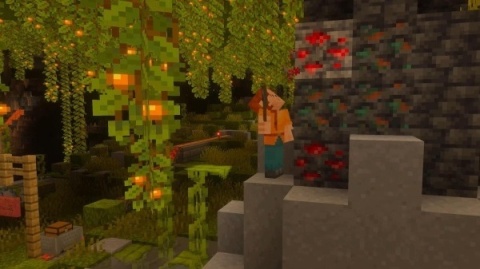 Nintendo Switch 2 Minecraft - Gra