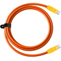 Kabel USB-C - USB-C 100 W 2 m Silikonowy Pomarańczowo-Żółty - Newell