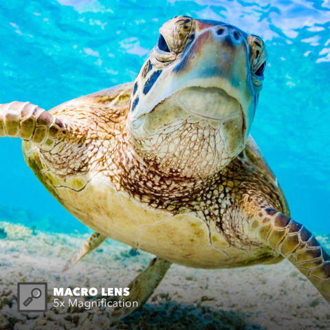 Zestaw filtrów wodnych + obiektyw makro PolarPro Switchblade HERO 8 Black