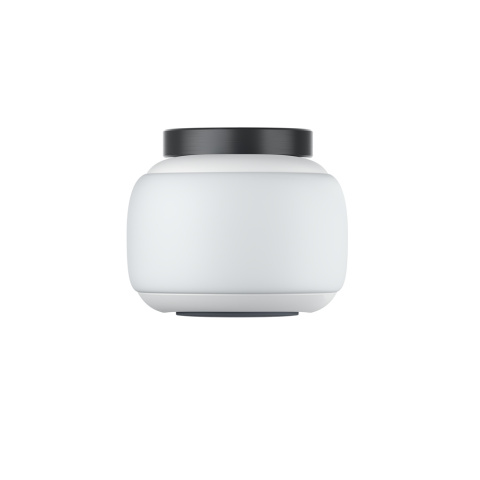 Kamera Insta360 GO 2 - (64 GB)